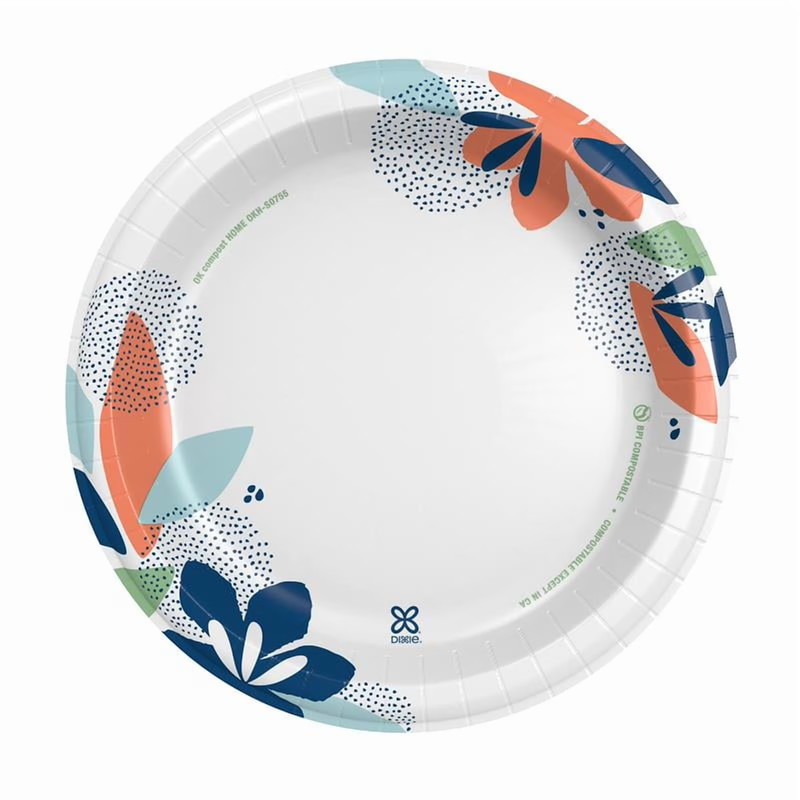 2 PACK - Dixie Disposable Paper Plates, 10", Multi-Color, 210 Count gallery