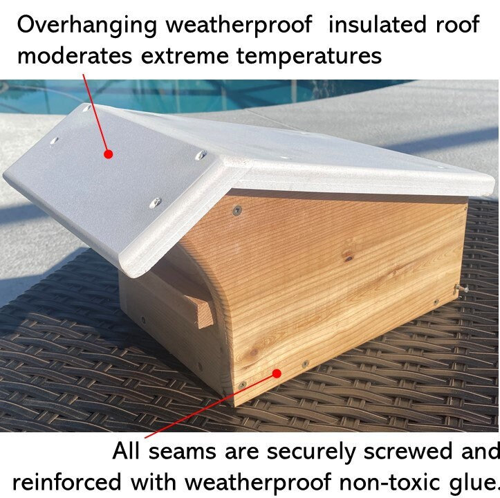 Swallow House | Swallow Nest Box gallery