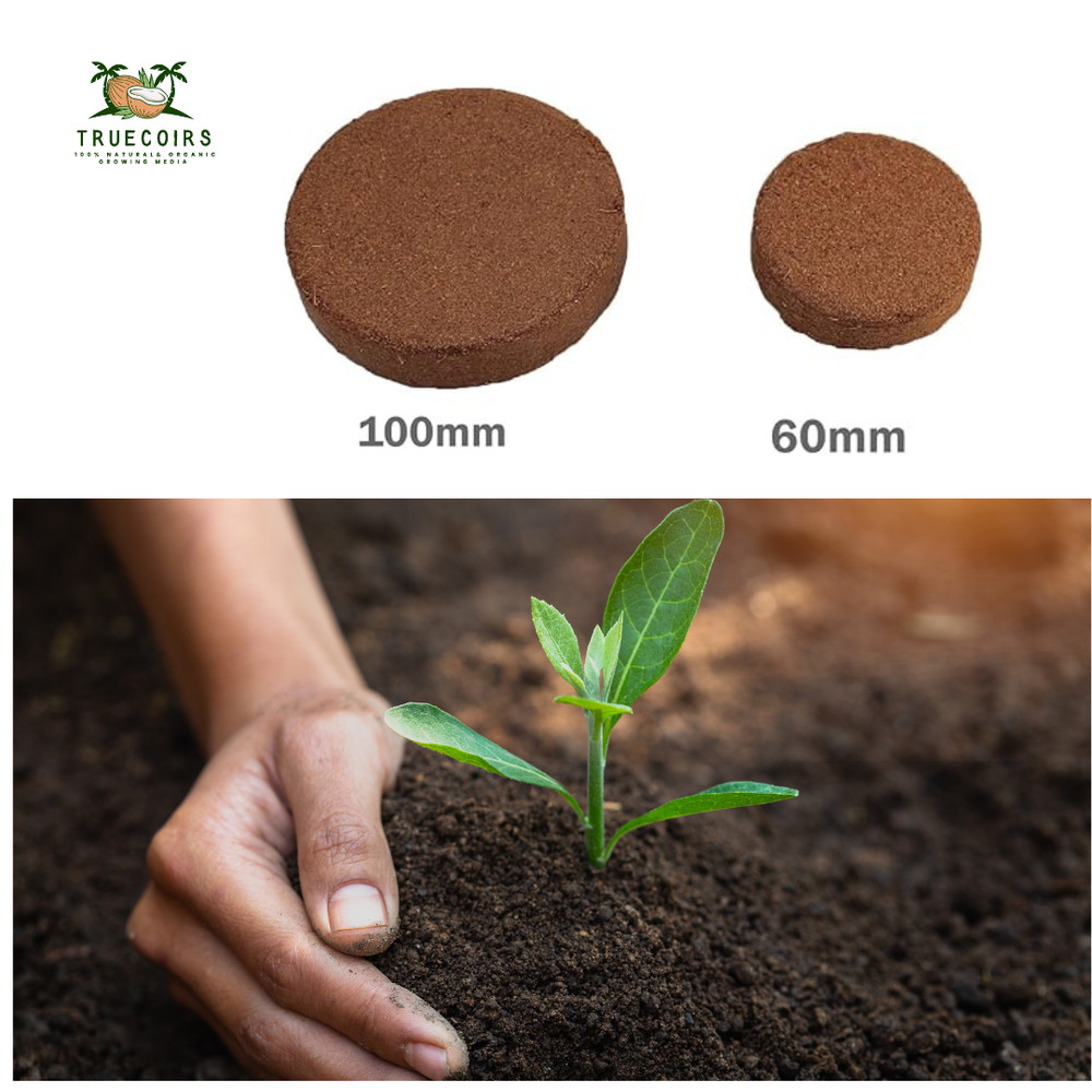 Coco Coir Pellets, Soil Disks (60mm and 100mm Pack of 10)