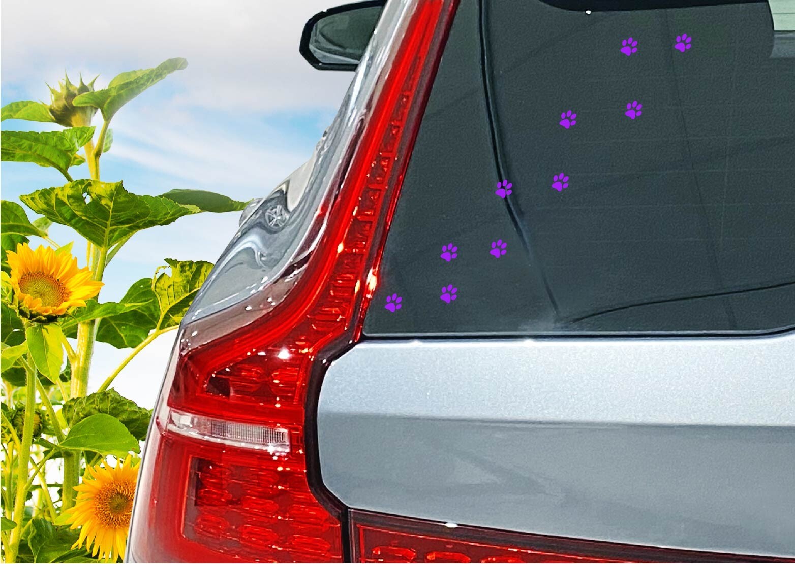 Set of 24 - 1 Inch Pawprint Decal Bundle Sticker Pet Dog Cat Paw Prints Breeds gallery