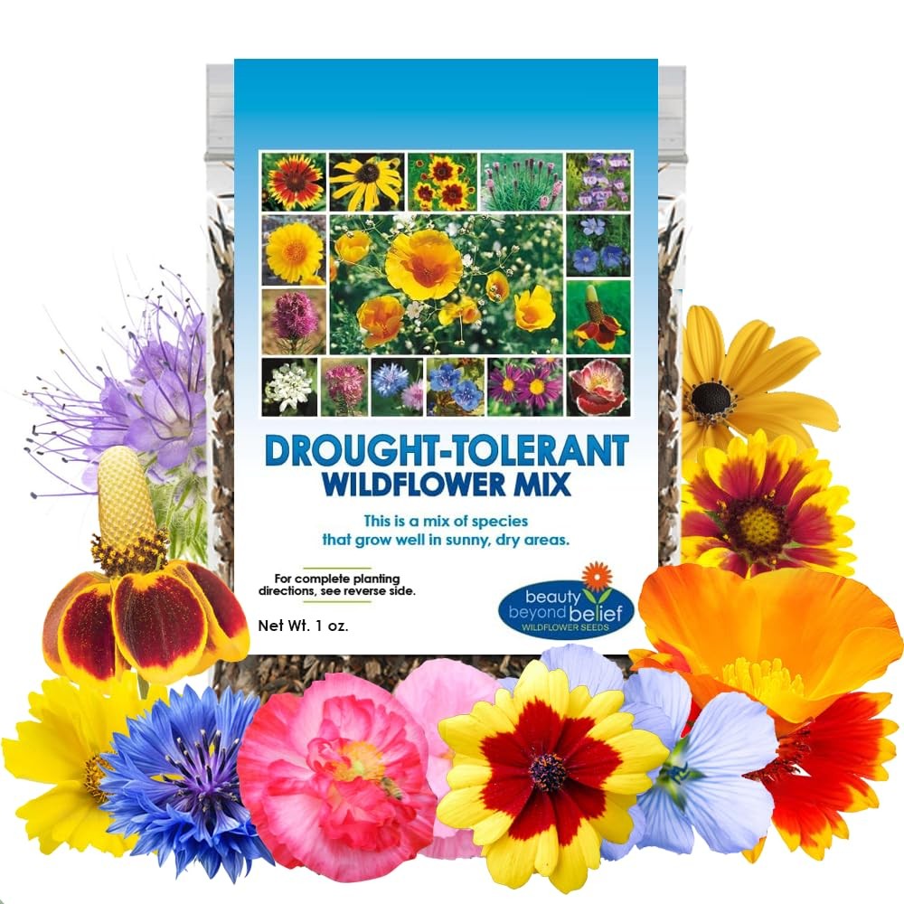 Drought Resistant Wildflower Seeds - 1oz, Open-Pollinated Bulk Multi color gallery