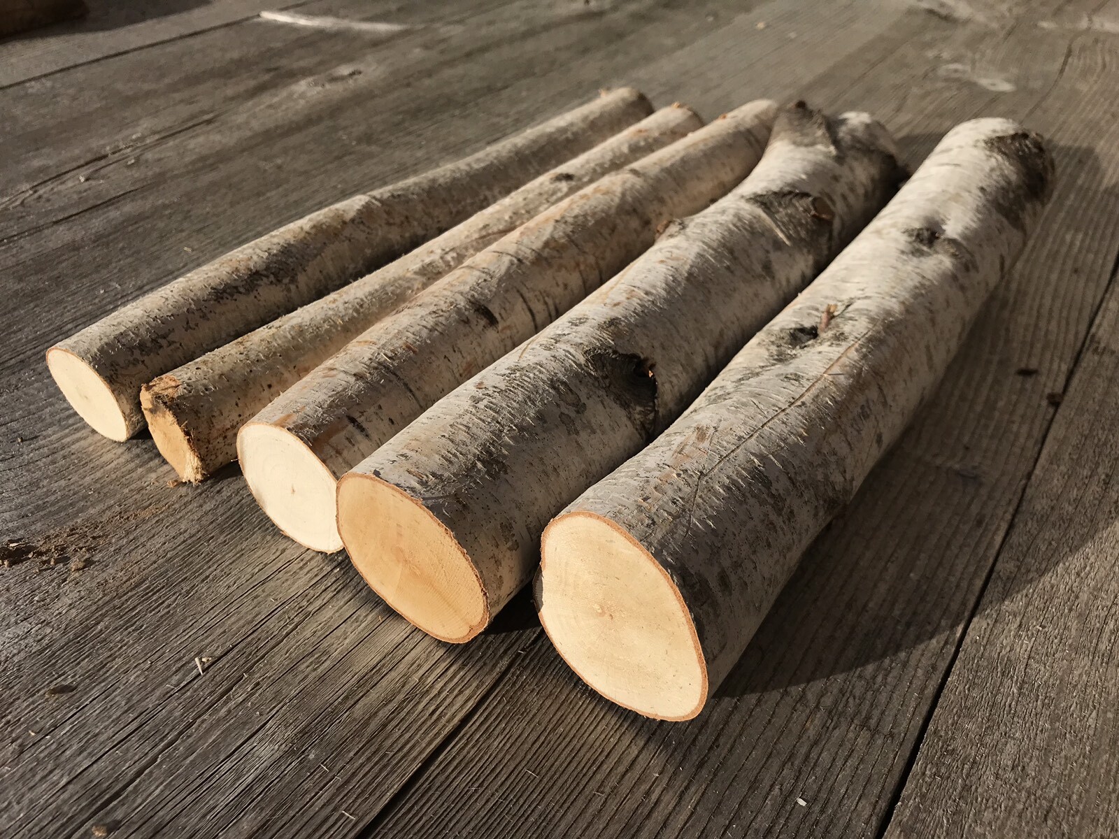 White Birch Logs, 5 count, 1-2 Inches Diameter, Approximately 11 Inches Long gallery