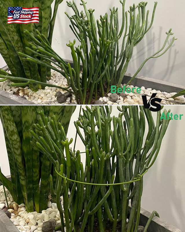 3 Pack Plant Support Stakes, Adjustable Plant Ring Cages with Green Rubber Wrapp gallery