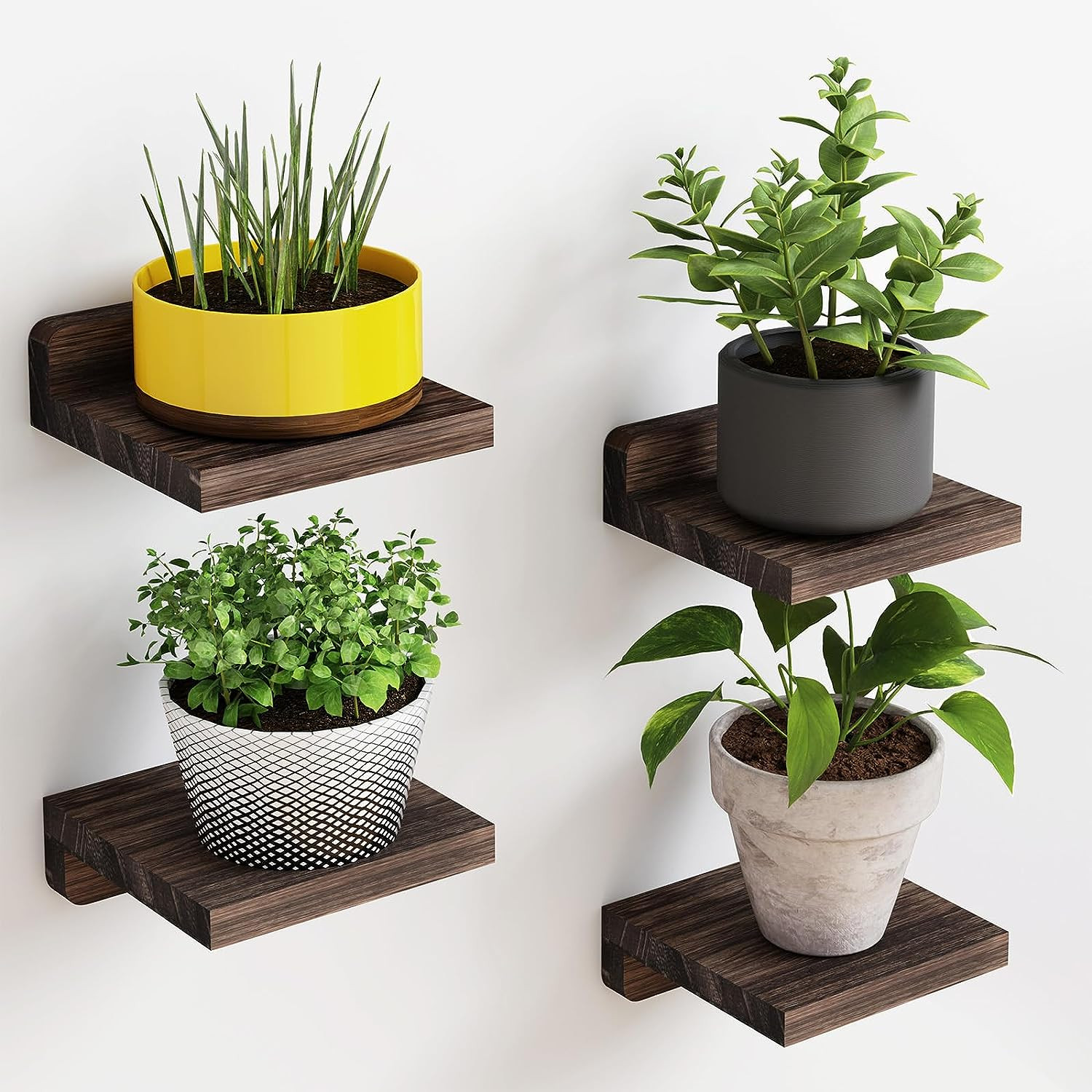 Small Floating Shelves, 5X5 Inches Wall Shelf Set of 4, Rustic Wood Small Wall M gallery