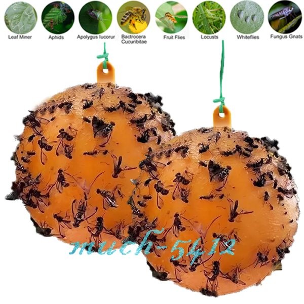 Bug Fruit Fly Traps Sticky Ball Fungus Gnat Pest Control Ball for Indoor Outdoor gallery