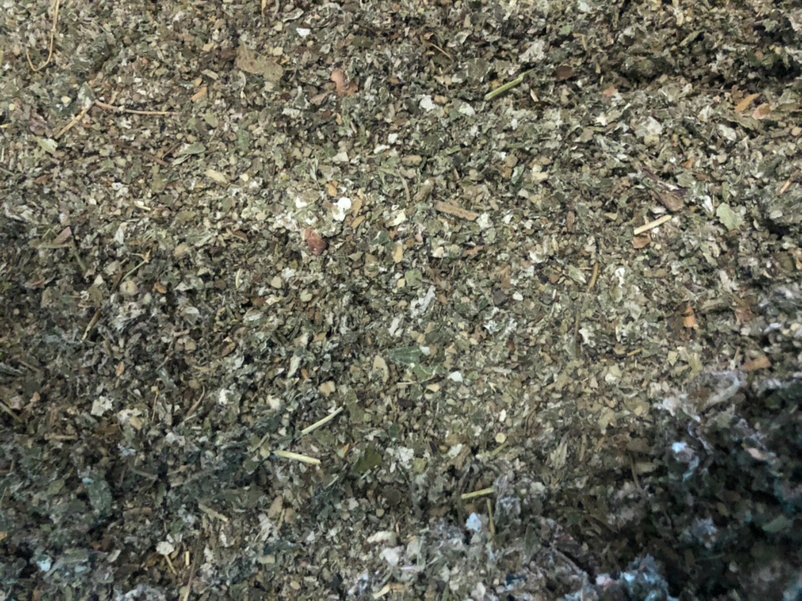 Mullein + Raspberry Leaf Herbal Blend Organic Mix Smokin-Hot Deals! ounce POUND gallery