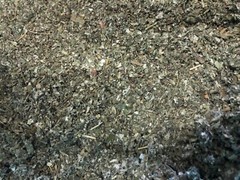 Mullein + Raspberry Leaf Herbal Blend Organic Mix Smokin-Hot Deals! ounce POUND