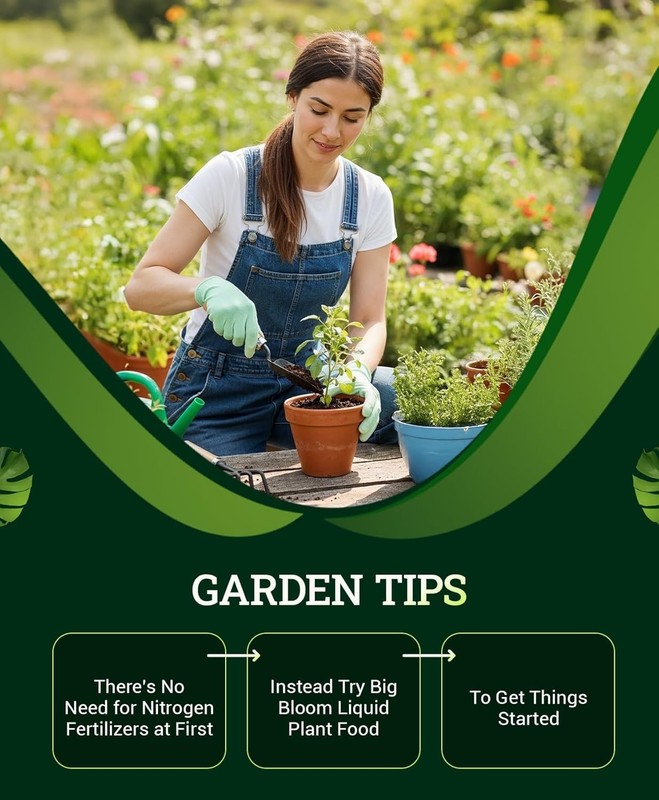⭐ 𝐁𝐄𝐒𝐓𝐒𝐄𝐋𝐋𝐄𝐑 FoxFarm Ocean Forest Potting Soil - 12 Quarts gallery