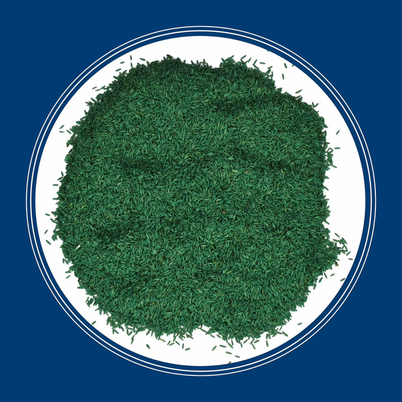 2Pack Pennington Kentucky Northern Grass Seed Mix for Sun to Partial Shade, 7 lb gallery