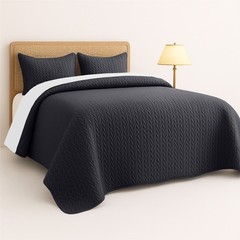 3 Piece Embossed Bedspread Quilt Set Soft Quilted Coverlet Comforter Sets Queen