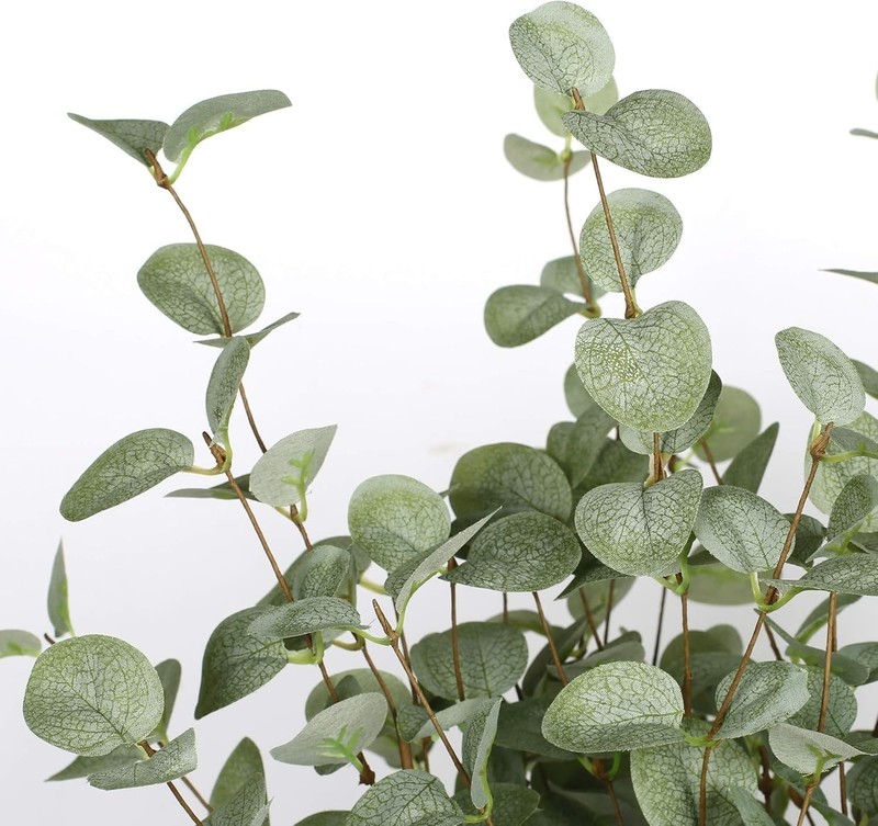 Home Party Wedding Decor Eucalyptus Leaf Spray - 12 Pcs gallery