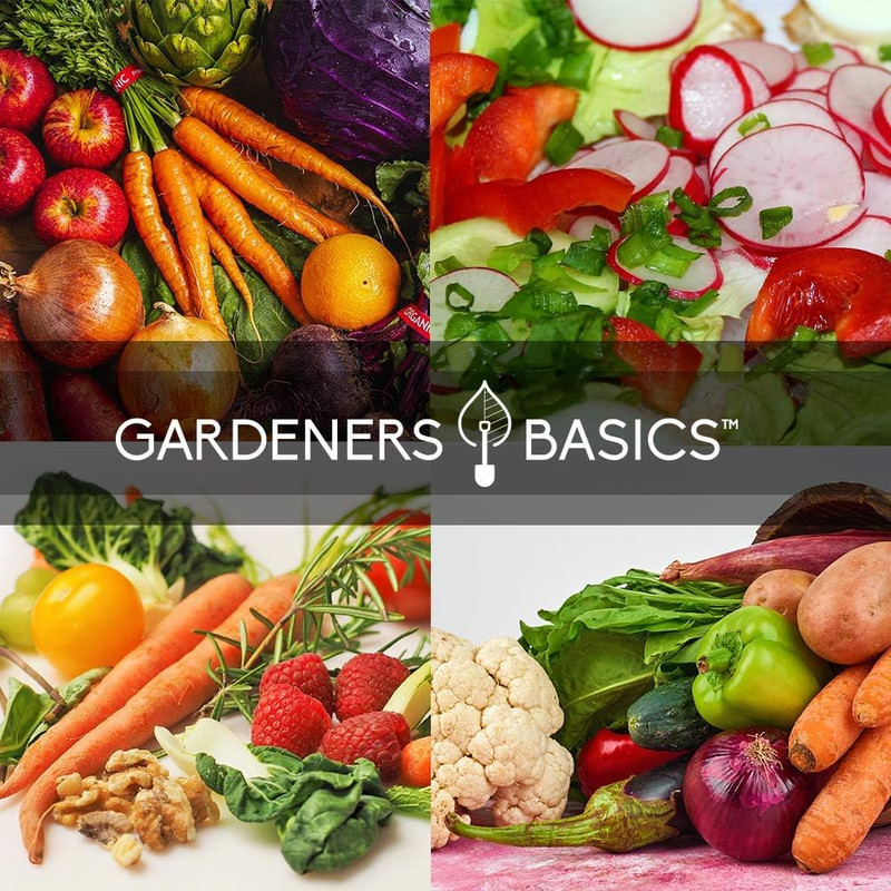 Winter, Fall, and Spring Vegetable Seeds for Planting | Cool Weather Crops | 8 V gallery
