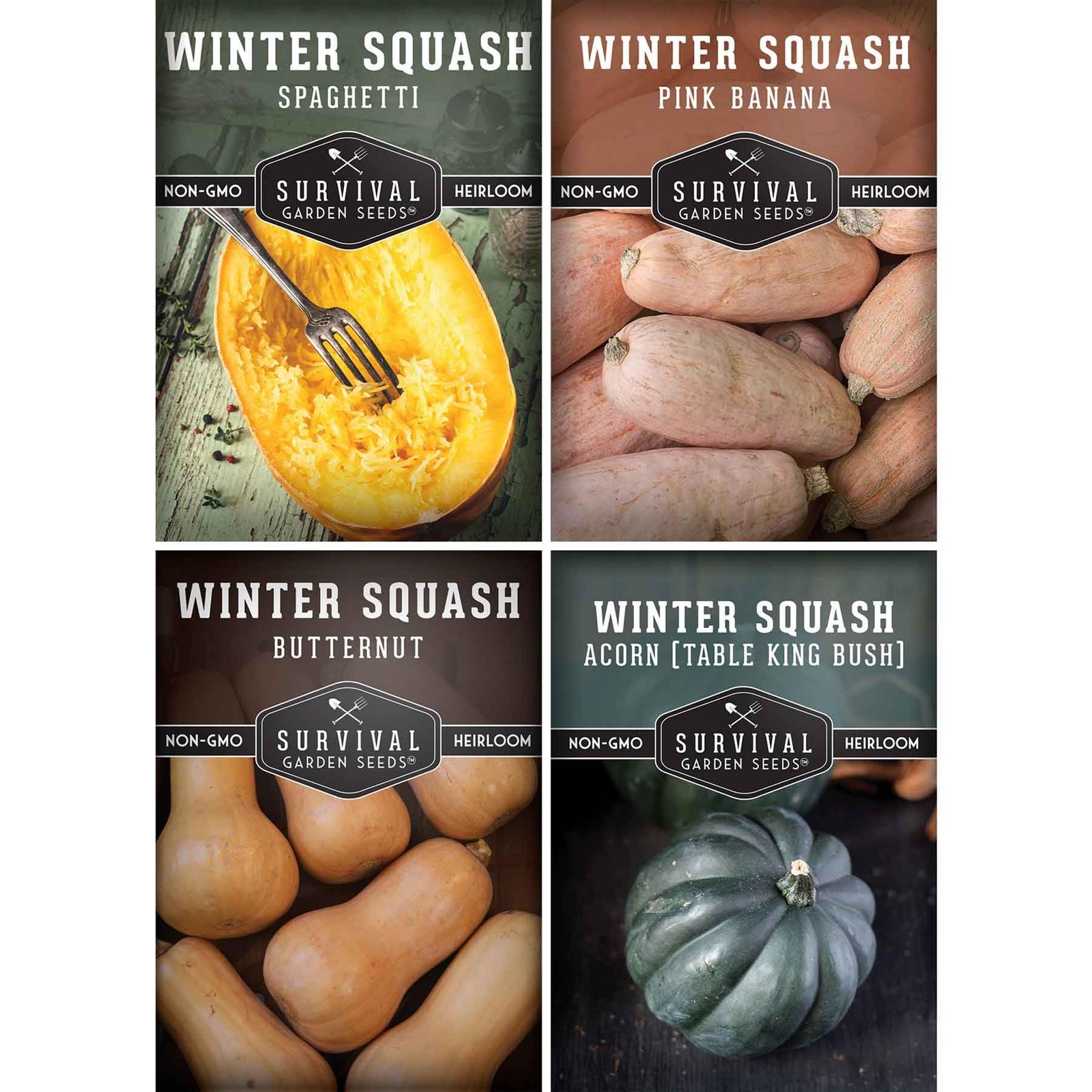 Winter Squash Seeds for Planting - 4 Variety Pack with Butternut, Multicolor gallery