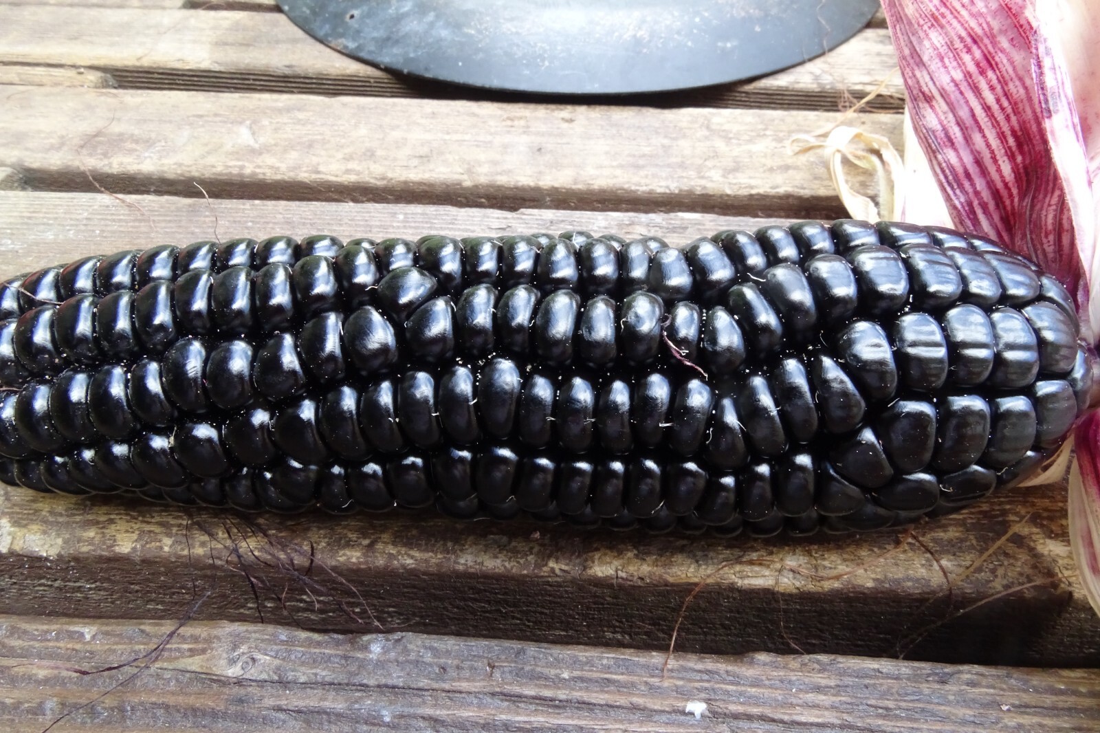 Maize Morado - Black Corn from Peru gallery