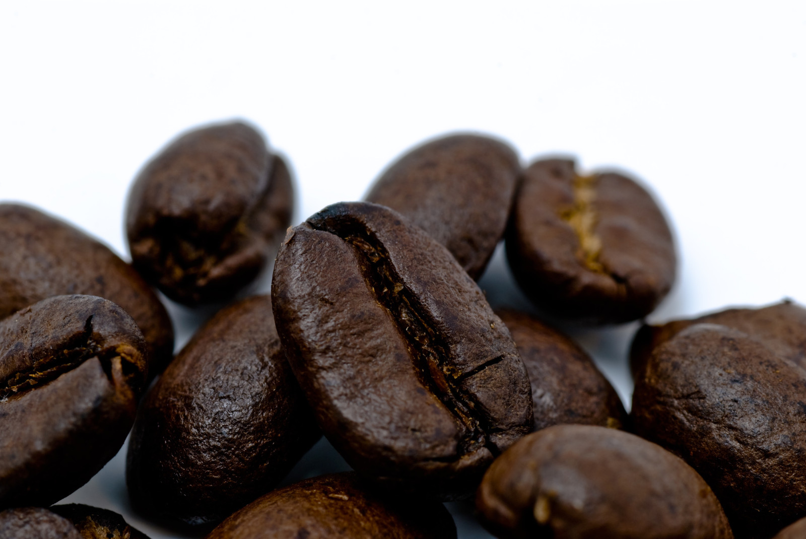 2026 Fresh Roasted Coffee - THE "ESPRESSO" of Tampa Bay's GOODFELLAS. - 1 Bag gallery