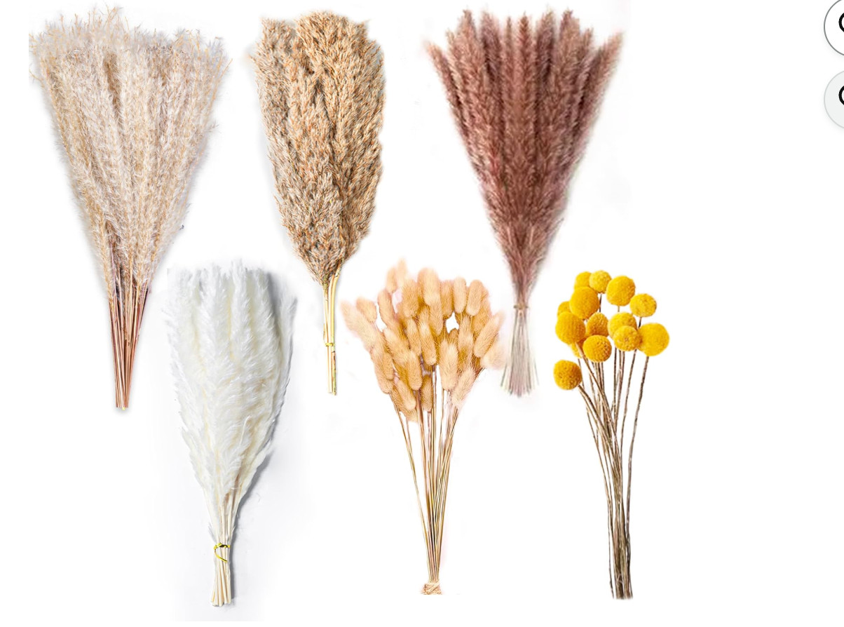 100 PCS Pampas Grass Natural Dried Reed Flower Bunch Home Wedding Decor Bouquets gallery