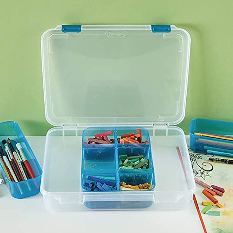 STERILITE Divided Case, Multicolor gallery