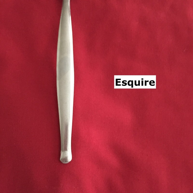 World Tableware ESQUIRE Dinner Fork 8" Circle at Tip Stainless Steel Flatware gallery