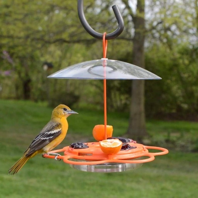OFP1 All-in-One Oriole Buffet Bird Feeder, Orange gallery