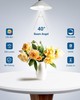 DEWENWILS Dimmable GU10 LED Light Bulb 8-Pack, 7W Equivalent 50W, 5000K Daylight gallery