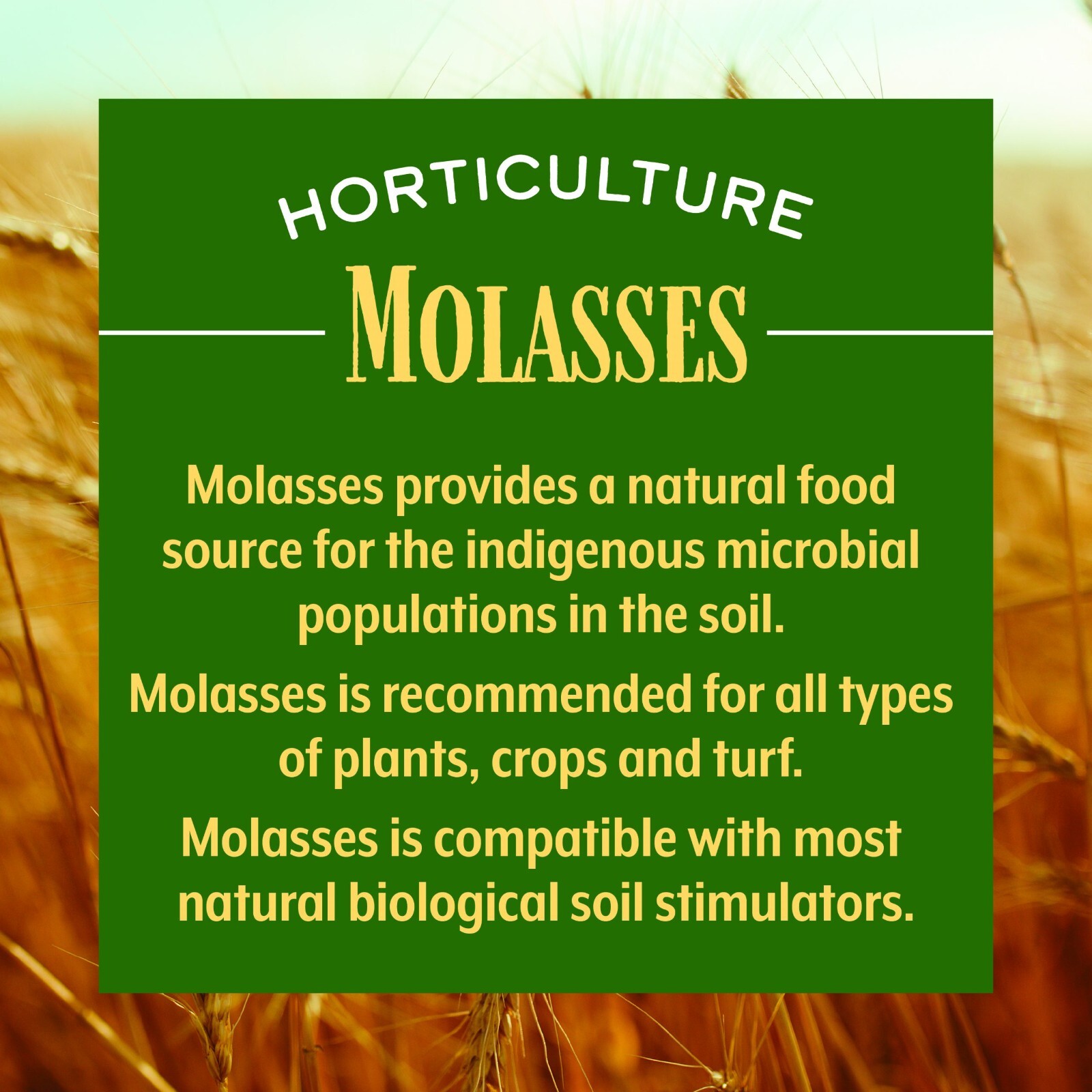 Horticultural Molasses For Plants, Turf, and Soil 128 fl oz by Medina gallery
