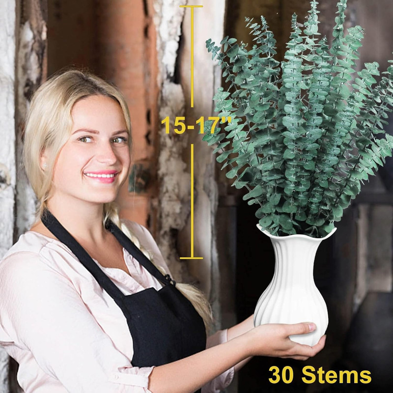 Bulk Package 30 PCS Real Dried Eucalyptus Plant Large Stems for Shower, 100% Na gallery
