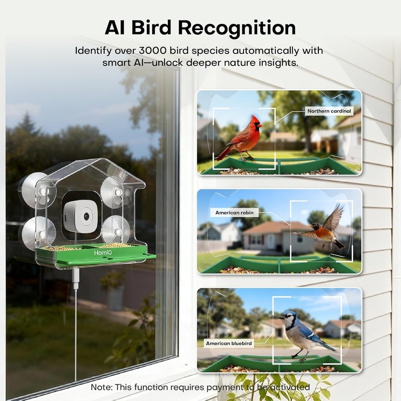 Interactive Smart Bird Feeder with AI Recognition & Durable Construction - 2K HD gallery