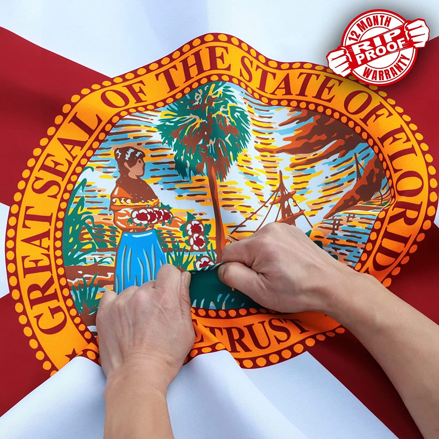 Anley Rip-Proof Double Sided 3-Ply Florida State 3x5 Ft USA FL State Flags gallery
