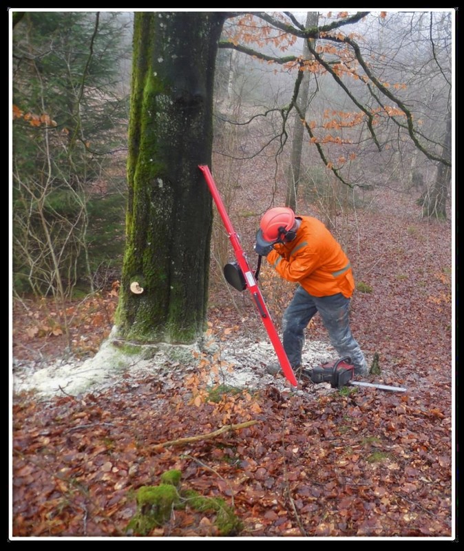 Reipal Type III RH-PUSHER Swedish Tree Jack Pushing Medium Soft to Hardwood gallery