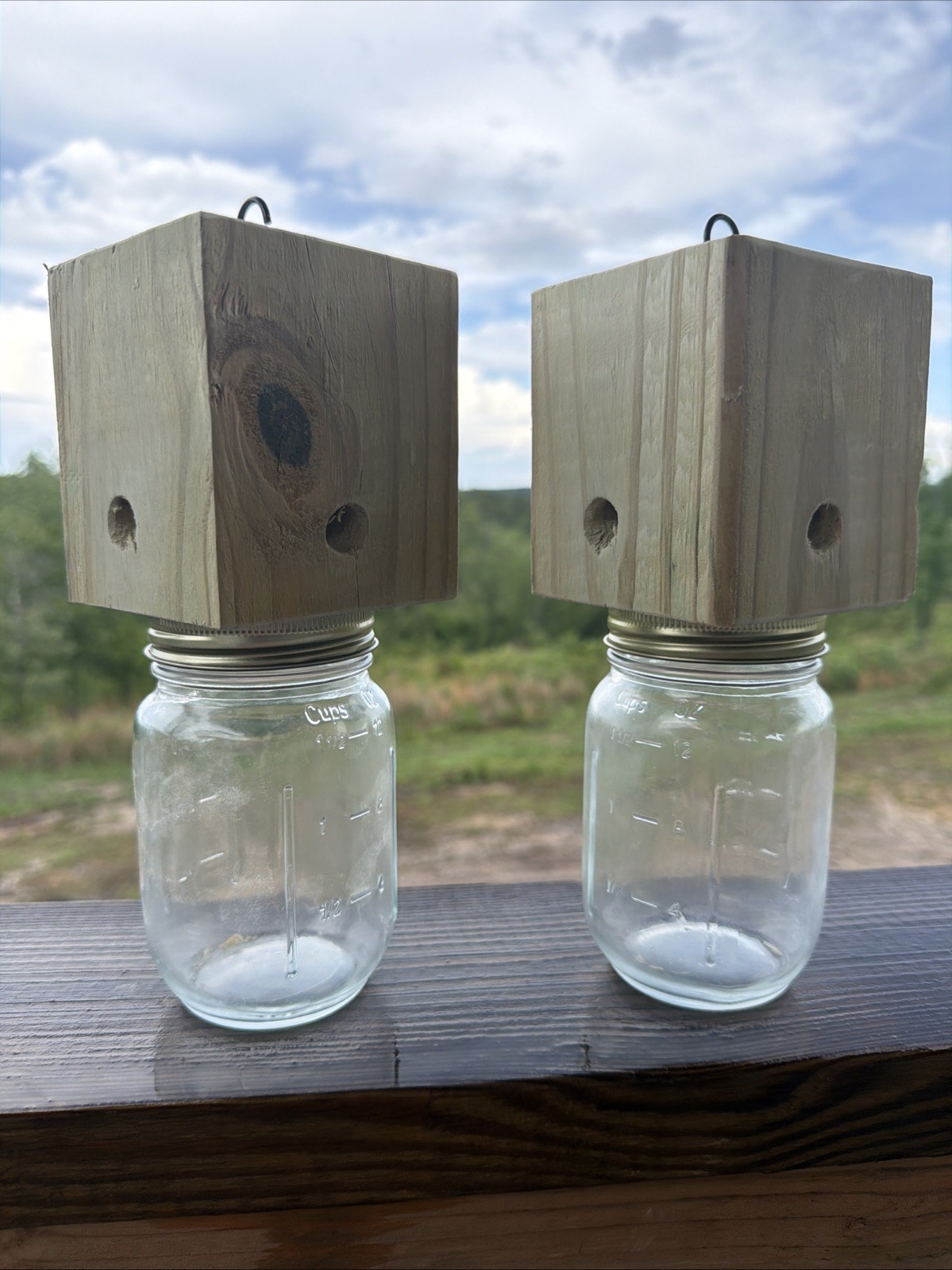 Set Of 2 Carpenter Bee Traps W/ Jars & Hooks- Free Shipping gallery