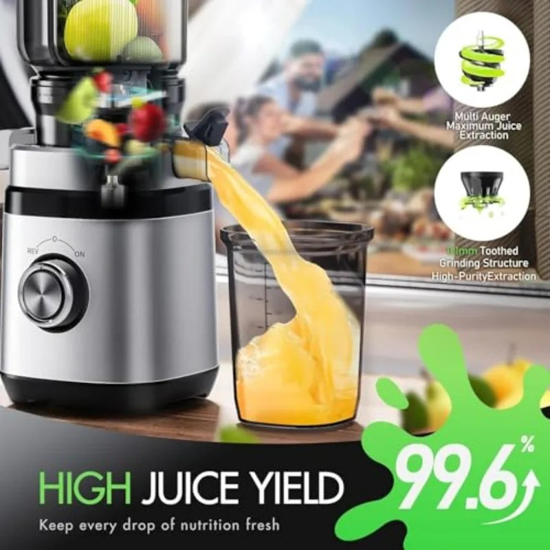 Cold Press Masticating Juicer Machine 350W Whole Fruit Slow Juicer Extractor gallery