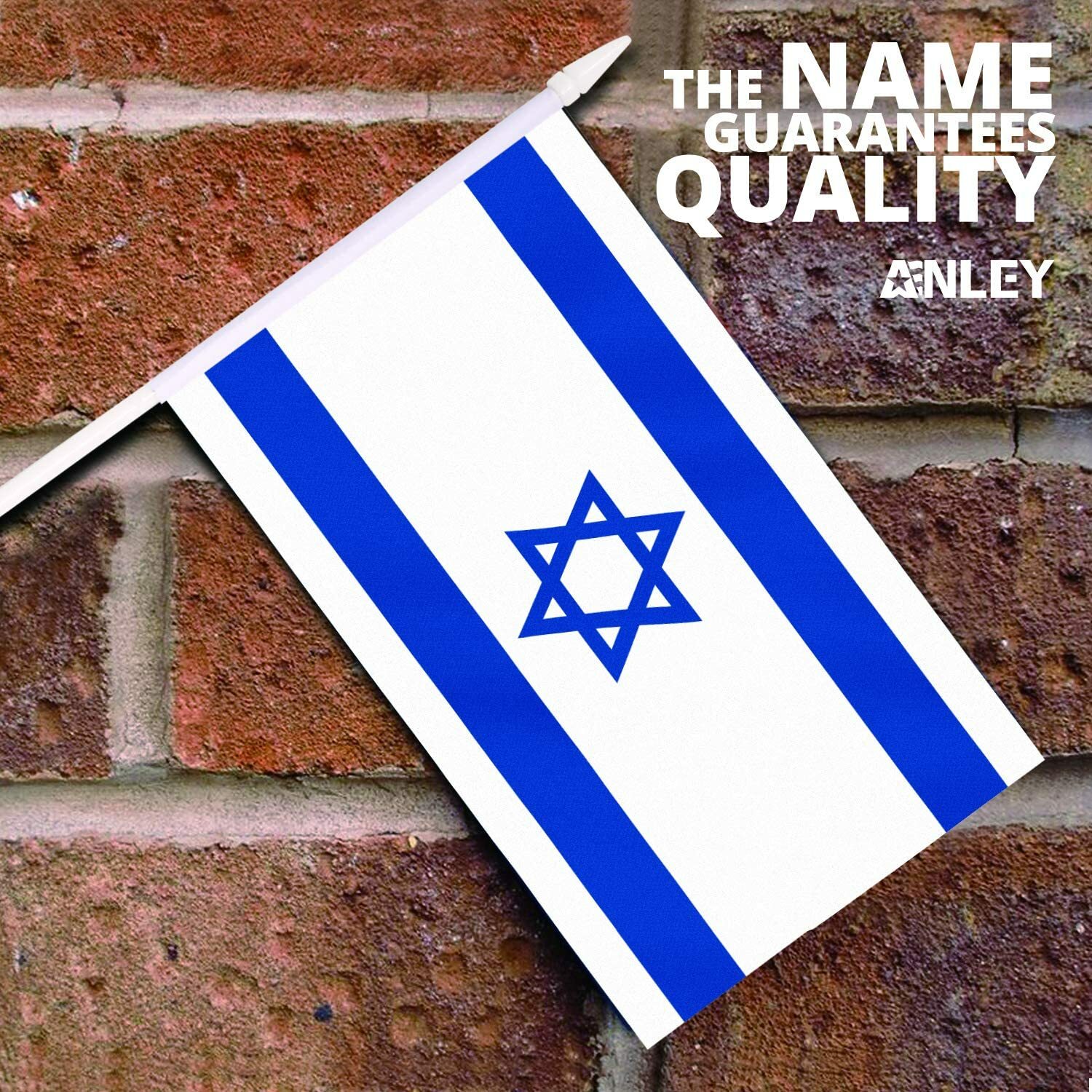 12 Pack Israel Stick Flag Hand Held Small Miniature Israeli Flags gallery