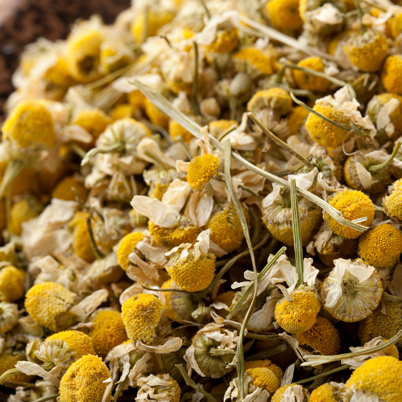 Fresh German Chamomile Seeds | Herbal Tea | Heirloom Non-GMO | Flower Seeds gallery
