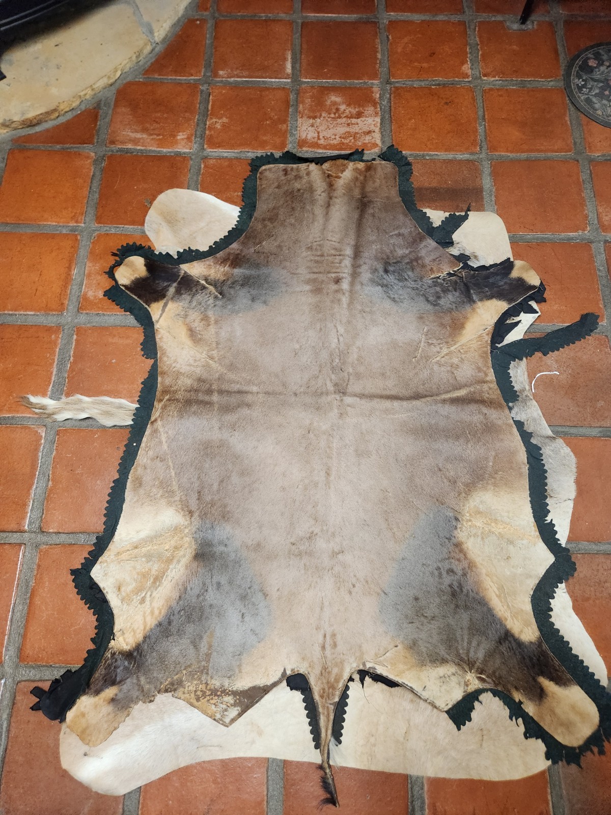 Vintage Red Hartebeest Hide Rug African Taxidermy Antelope Skin Felt Back 62"x44 gallery
