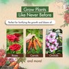 Triple Super Phosphate Fertilizer 0-46-0 for Strong Roots & Blooms 5 lb gallery