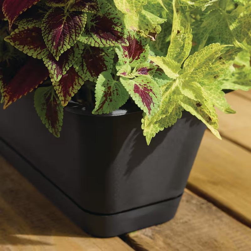 Antonella Black Plastic Rectangular Window Planter Box with Drainage Hole (24 In gallery