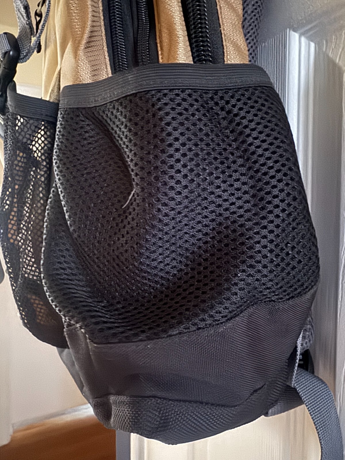 Eddie Bauer Air Tech System Compass Backpack Black Gold Hiking 5