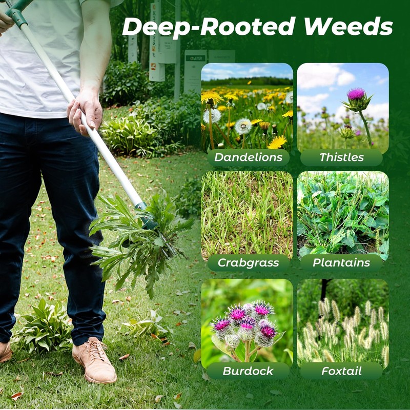 Walensee Weed Puller, Stand Up Weeder Hand Tool, Long Handle Garden Weeding T... gallery