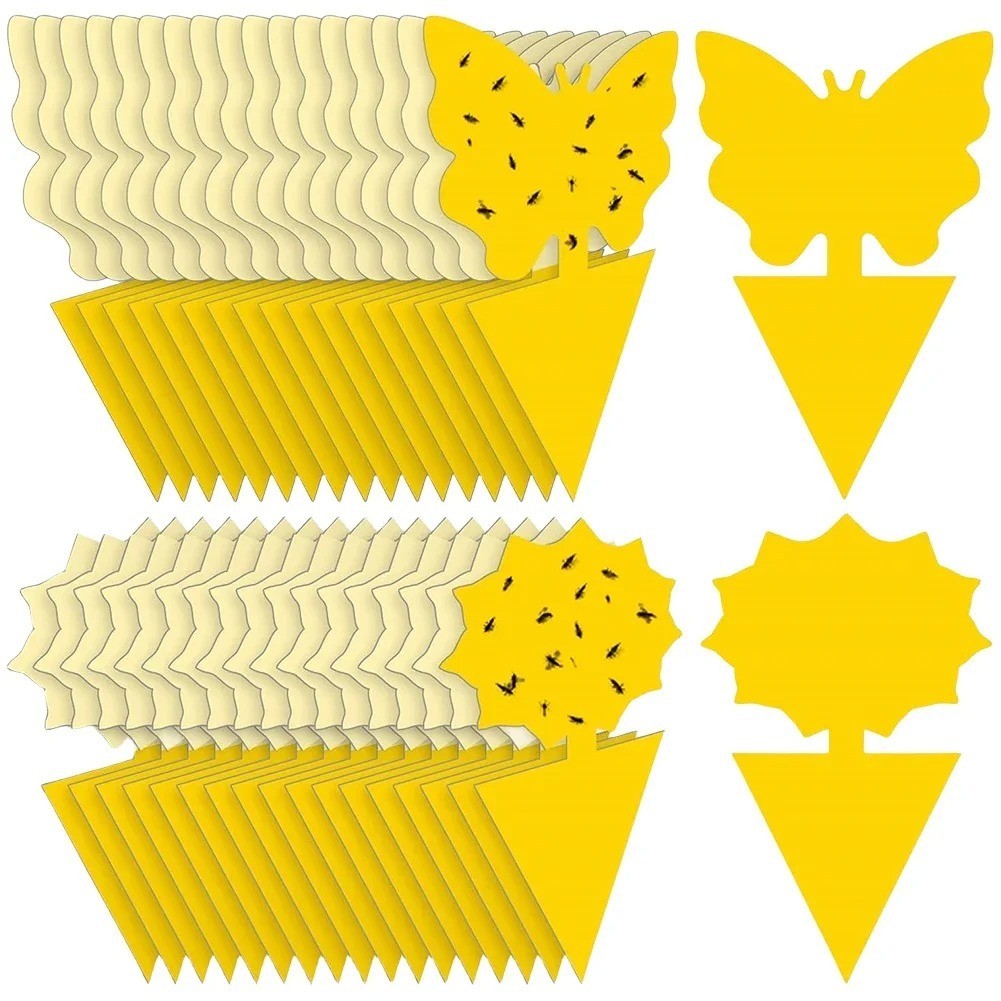 20 PCS Sticky Fruit Fly Traps, Fungus Gnat Killer Trap use Indoor Outdoor gallery