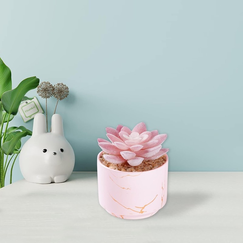 Charming Artificial Pink Succulent in Ceramic Pot - Cute Décor for All Rooms gallery
