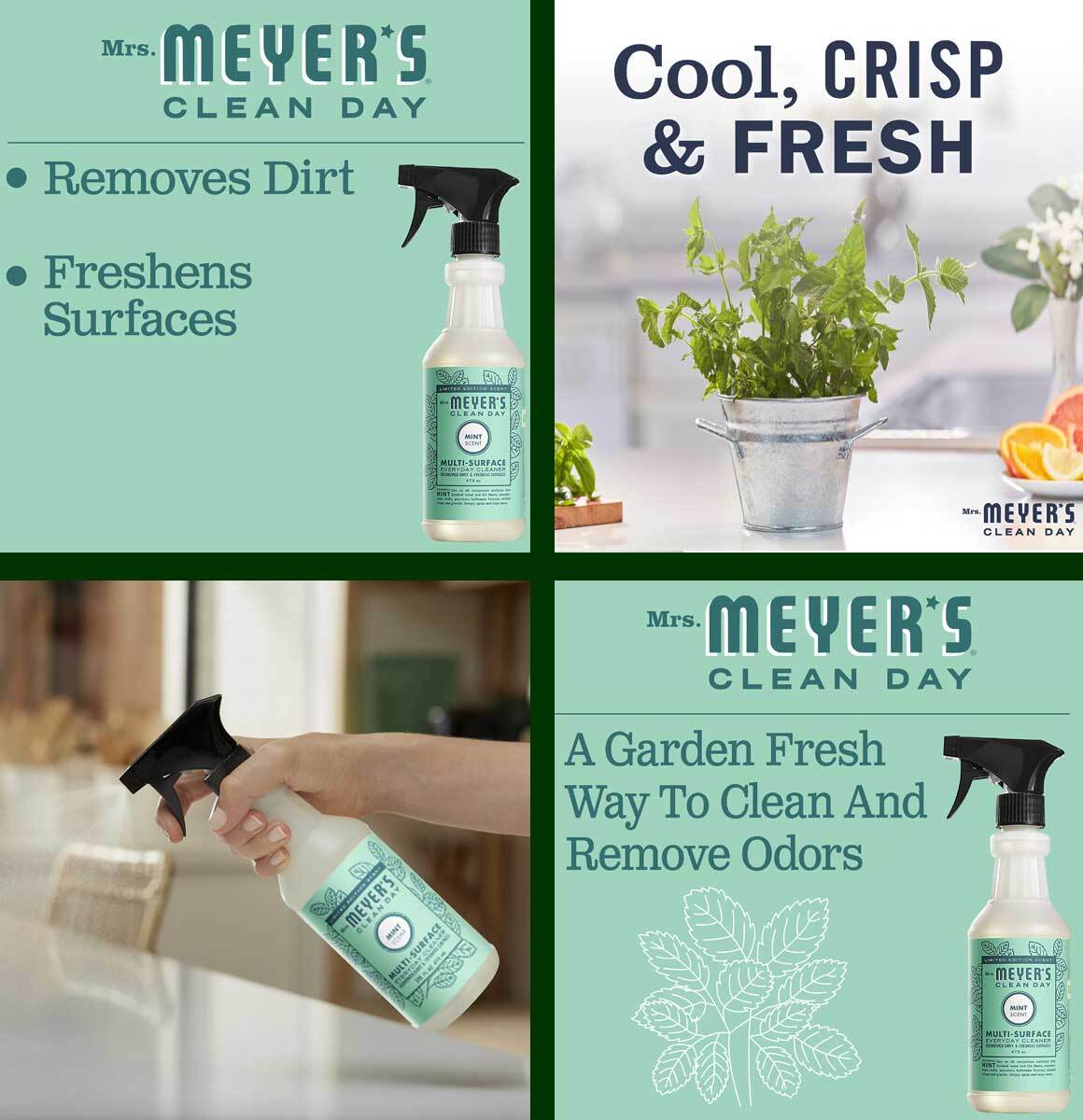 Mrs Meyers Multi-Surface Every Day Spray Cleaner Mint Scent - 16 Oz - EACH gallery