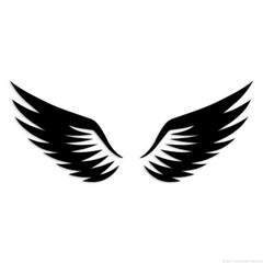 Wings – Decal Sticker – Multiple Colors & Sizes – ebn6661