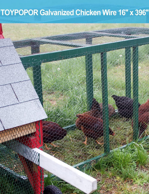 Chicken Wire Fence Galvanized Hexagonal Mesh Netting Garden Protective Craft 33f gallery