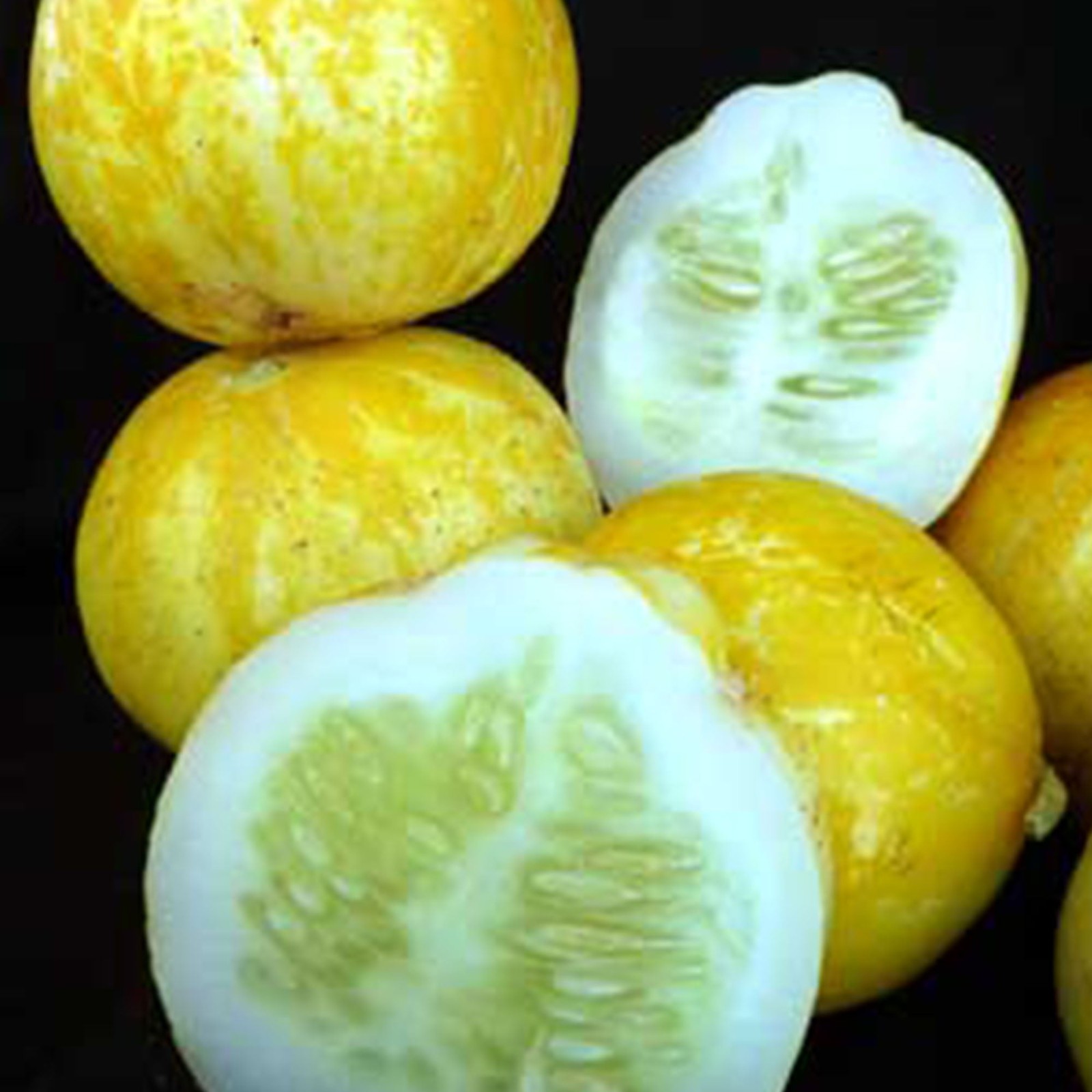 Lemon cucumber, Cucumis sativus You will get 30 Seeds Free Shipping! gallery