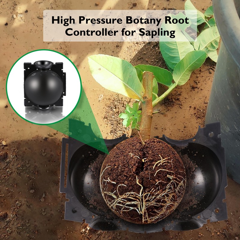 2~10Pcs Plant Rooting Device High Pressure Propagation Ball Graft Box Grow 5/8CM gallery