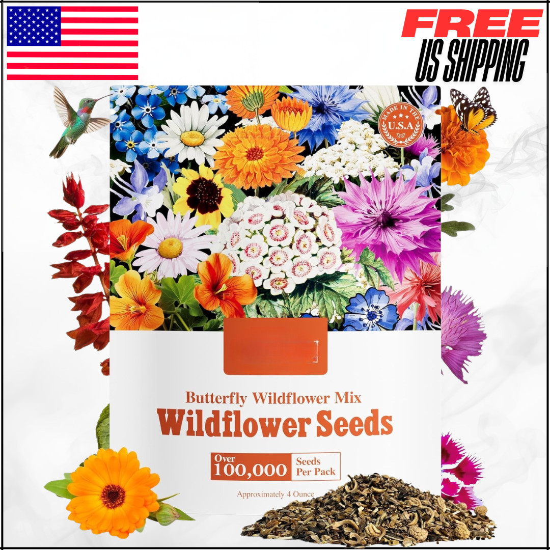 All Perennial Wildflower Seeds Bulk Mix W/ Milkweed Pollinators Zones 3-10 1/4LB gallery