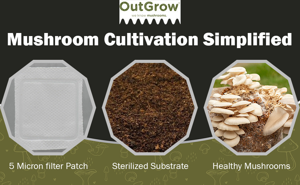 Hardwood Based Mushroom Substrate For Wood Loving Mushrooms (5lbs) gallery