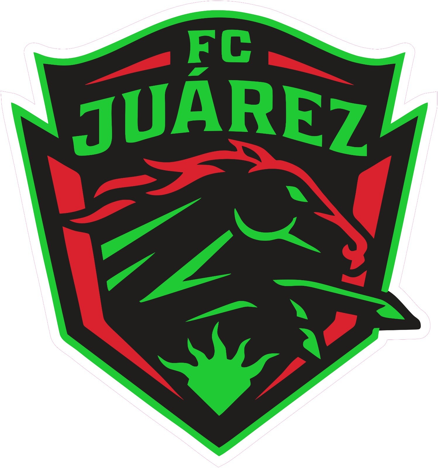 FC Juárez Soccer Vinyl Decal Sticker Car Truck Bumper Laptop Mug Tumbler gallery