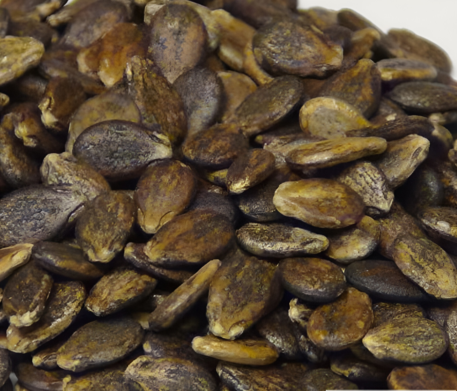 25 Mountain Sweet Yellow Watermelon Seeds - High Sugar Content Heirloom 15-25LBs gallery