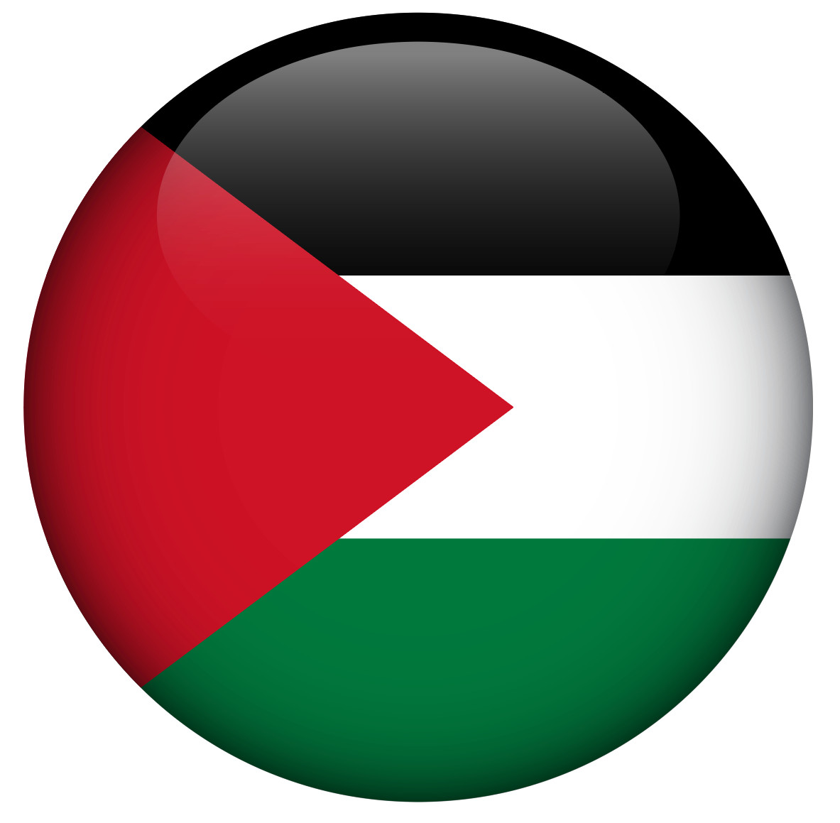 Palestine Flag Vinyl Decal / Sticker ** 5 Sizes ** (round) gallery